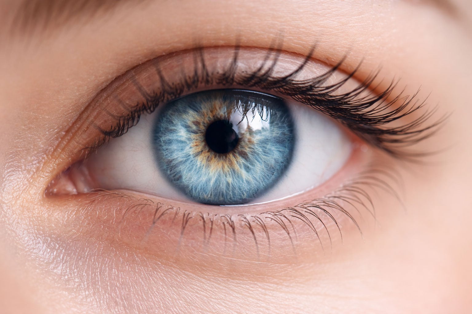 colours-the-eyes-can't-see